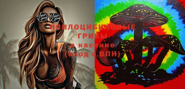 молекула духа Нягань