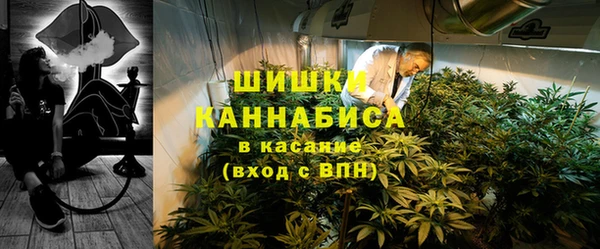 молекула духа Нягань