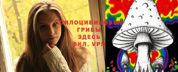 молекула духа Нягань