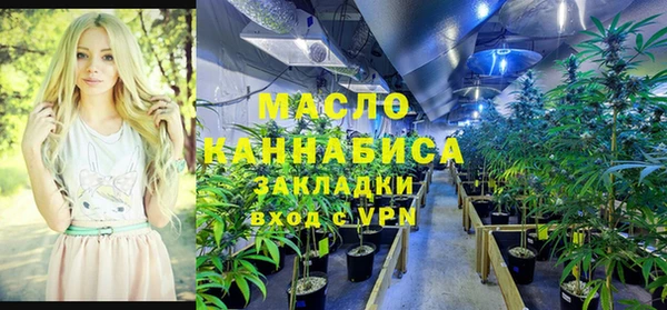 молекула духа Нягань