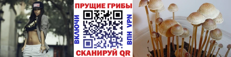 Галлюциногенные грибы MAGIC MUSHROOMS  Россошь 