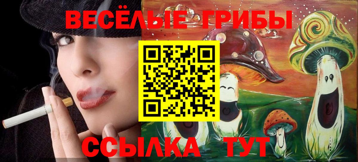 Псилоцибиновые грибы Cubensis Россошь