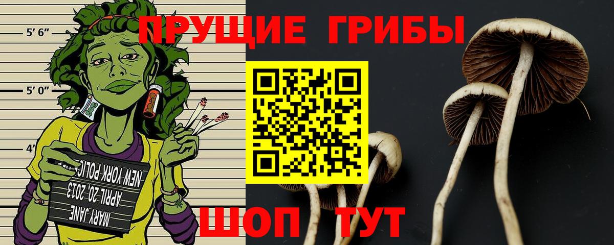 Галлюциногенные грибы мухоморы  Россошь 