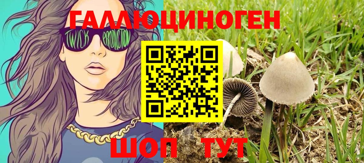 Россошь  Псилоцибиновые грибы ЛСД  Вход с VPN 