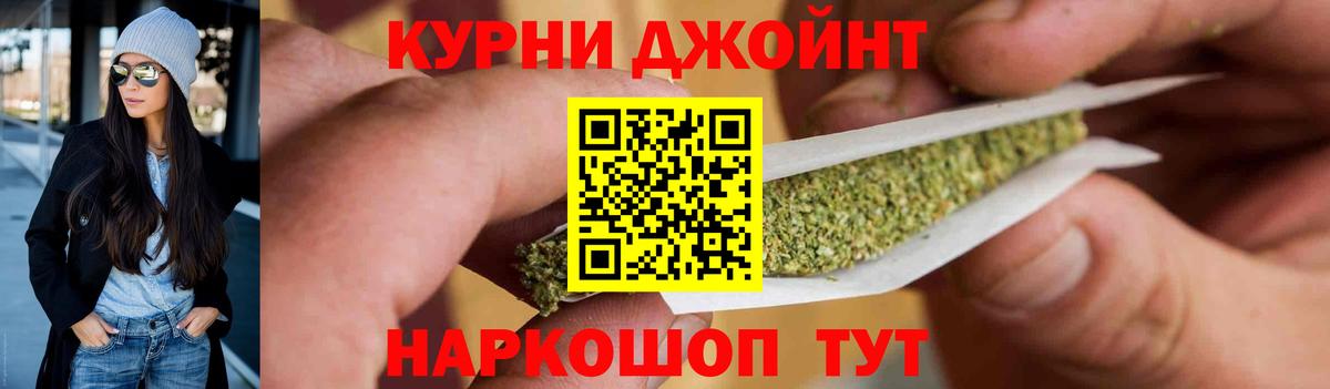 Конопля сатива Россошь